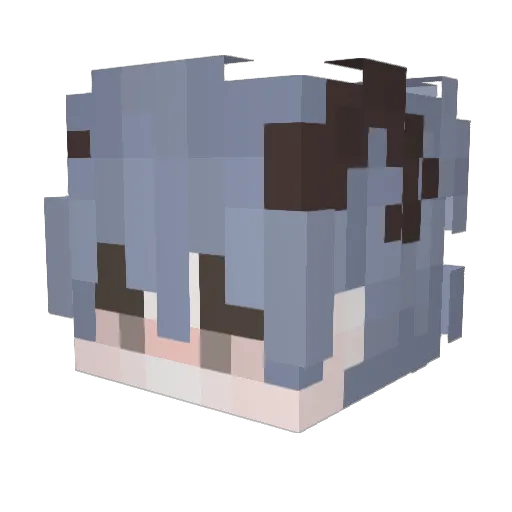 xuebi2486 Minecraft avatar head, 3D render