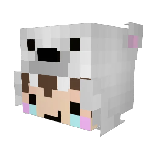 xuirfs Minecraft avatar head, 3D render