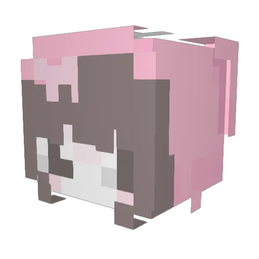 xun9ah Minecraft avatar head, 3D render