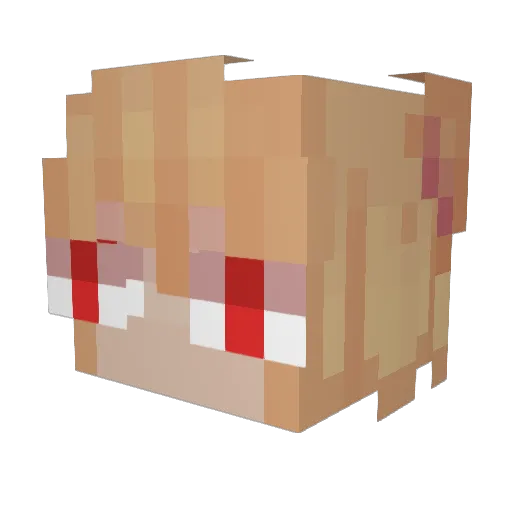 xuneri Minecraft avatar head, 3D render