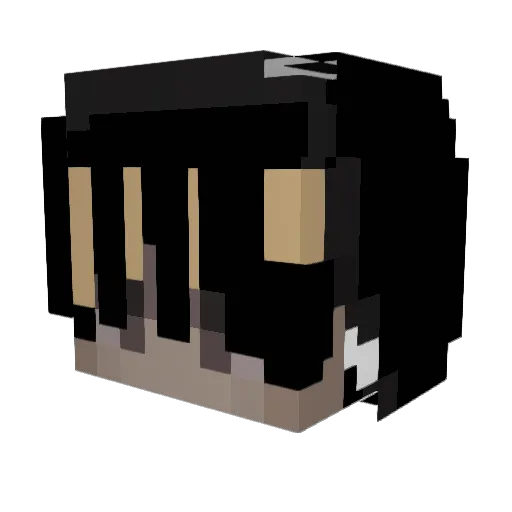 xuran_ Minecraft avatar head, 3D render