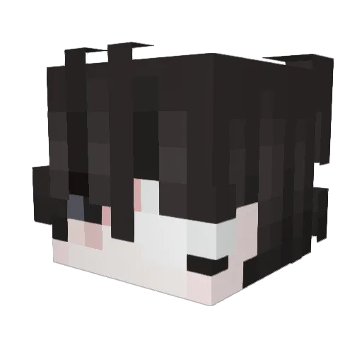 xv1le Minecraft avatar head, 3D render