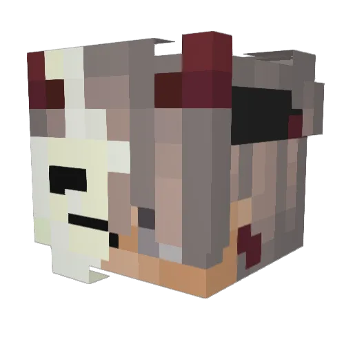 xvaz11 Minecraft avatar head, 3D render