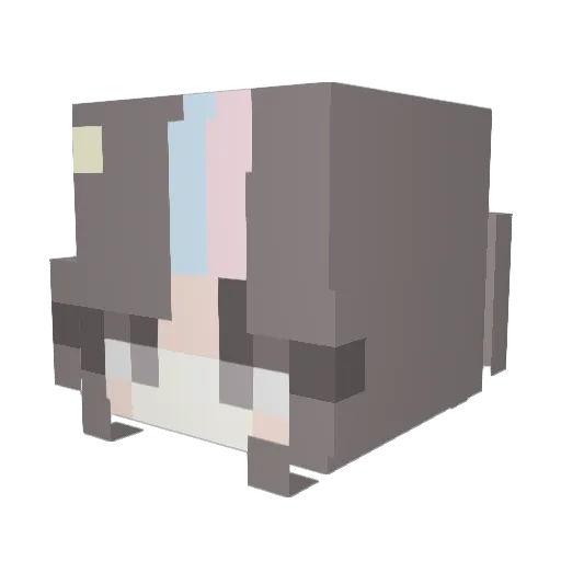 xvclsi Minecraft avatar head, 3D render