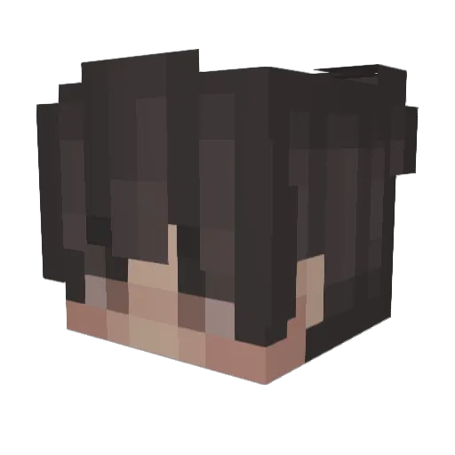xver324 Minecraft avatar head, 3D render