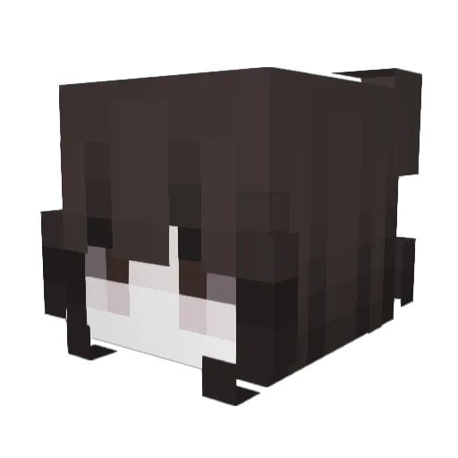 xvesji Minecraft avatar head, 3D render