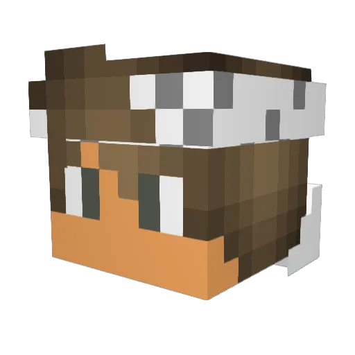 xvici Minecraft avatar head, 3D render