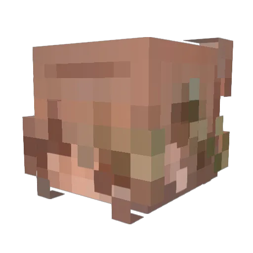 xviyana Minecraft avatar head, 3D render