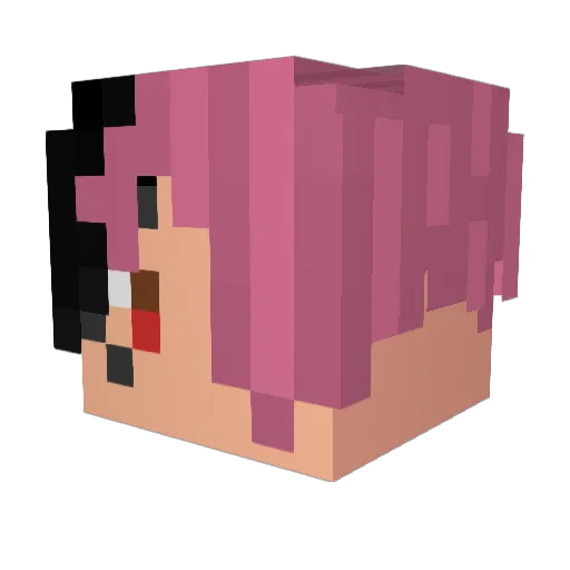 xvrdnt9 Minecraft avatar head, 3D render