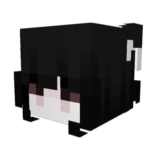 xvxlz Minecraft avatar head, 3D render