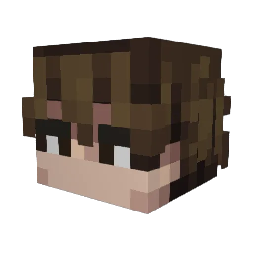 xwandoks Minecraft avatar head, 3D render