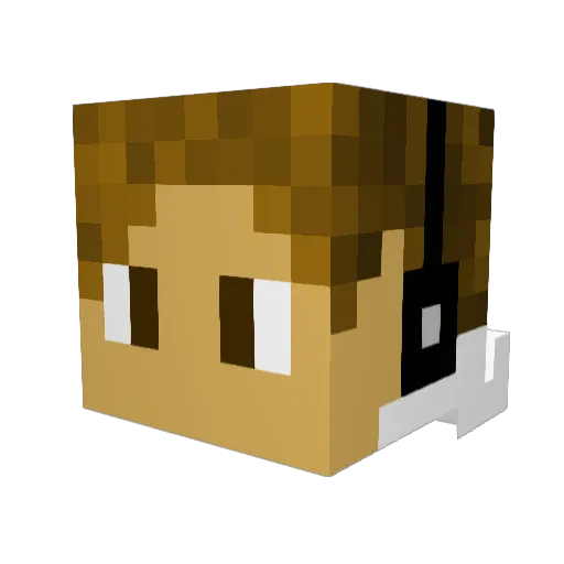 xwing47 Minecraft avatar head, 3D render