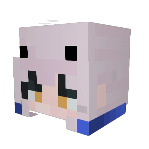 xwmaxpt Minecraft avatar head, 3D render