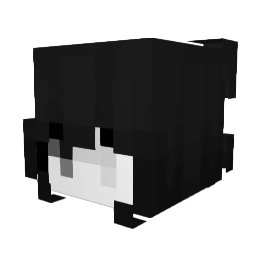 xwom Minecraft avatar head, 3D render