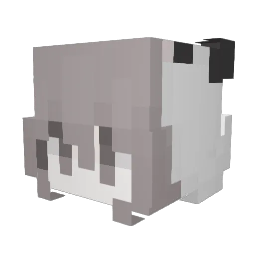 xwonzx Minecraft avatar head, 3D render