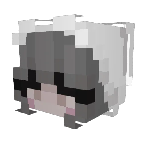 xwsi Minecraft avatar head, 3D render