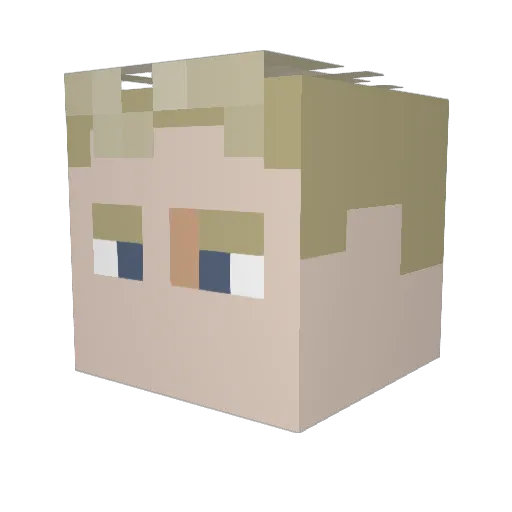 xx18908912 Minecraft avatar head, 3D render