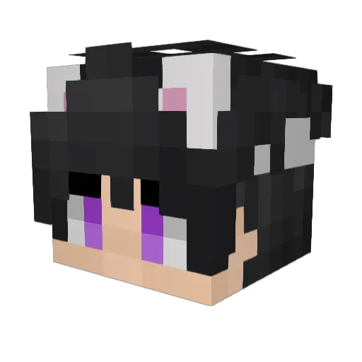 xx3n4 Minecraft avatar head, 3D render