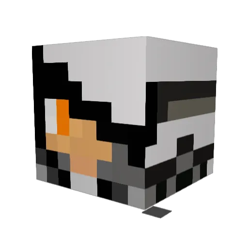 xx Minecraft avatar head, 3D render