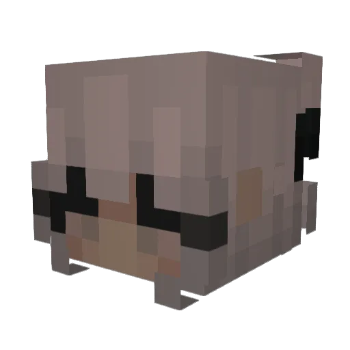 xxBambusleitung Minecraft avatar head, 3D render