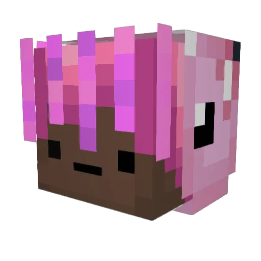 xxBurak Minecraft avatar head, 3D render