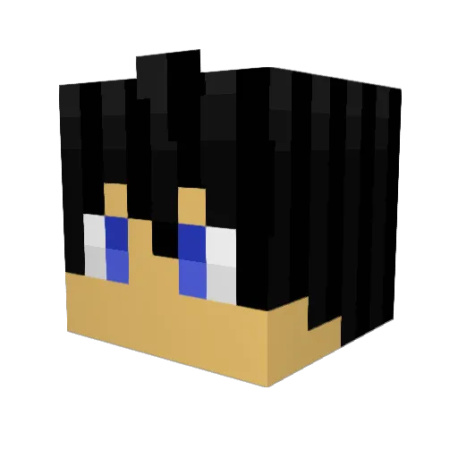xxDARKNIGHT Minecraft avatar head, 3D render
