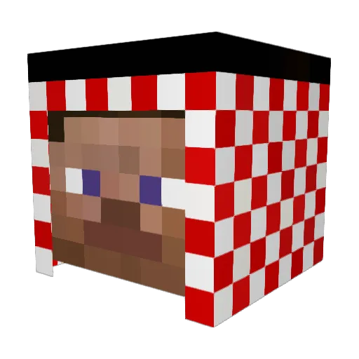 xxDISASTER Minecraft avatar head, 3D render