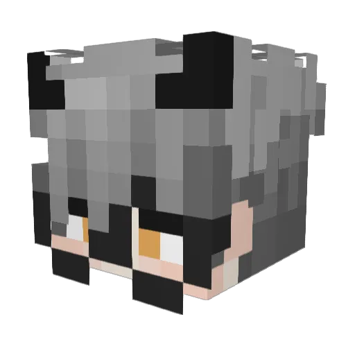 xxDumpoxx Minecraft avatar head, 3D render