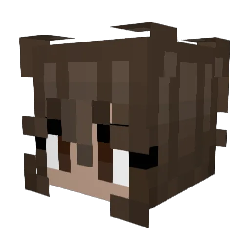 xxHeat Minecraft avatar head, 3D render