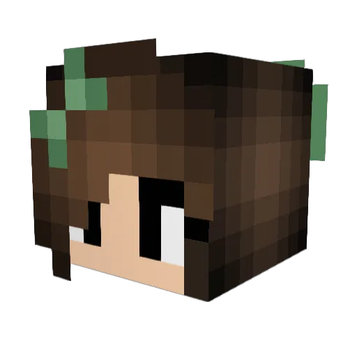 xxLachlanxx Minecraft avatar head, 3D render