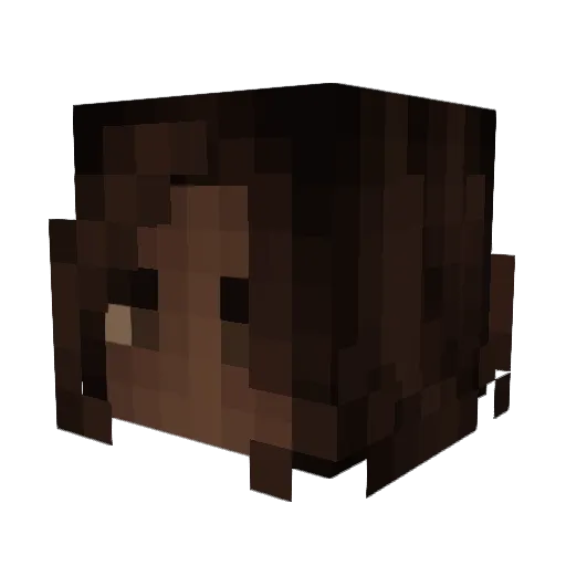 xxRetro Minecraft avatar head, 3D render