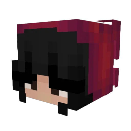 xxSamDogexx Minecraft avatar head, 3D render