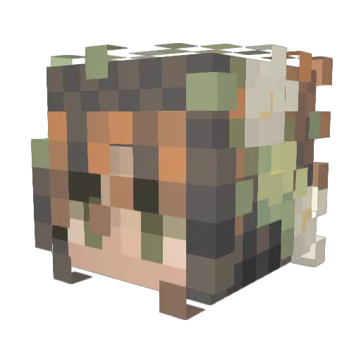 xxStringrayxxx Minecraft avatar head, 3D render
