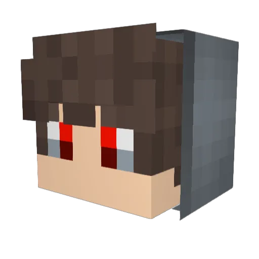 xxTIMxx Minecraft avatar head, 3D render