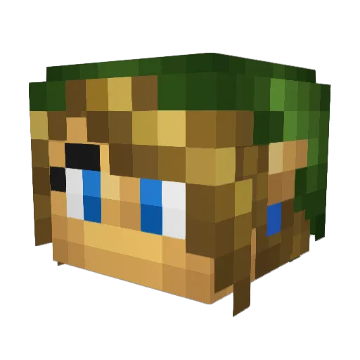 xxTYRxx Minecraft avatar head, 3D render