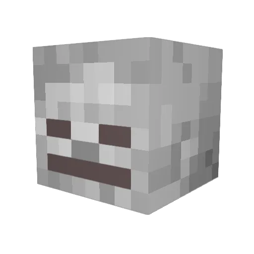 xxTheDoctorx Minecraft avatar head, 3D render