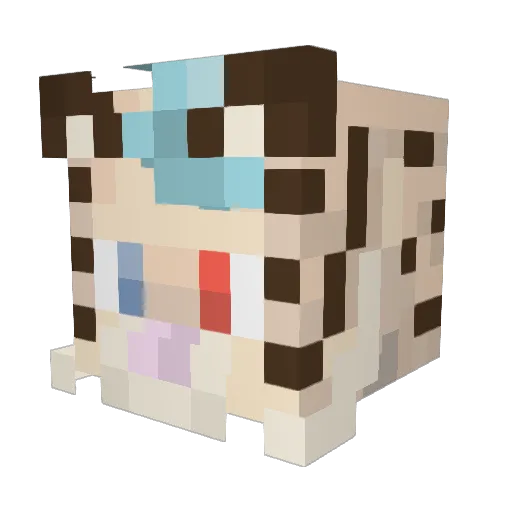 xxTigerBear19 Minecraft avatar head, 3D render