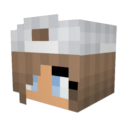 xxToxicWolf Minecraft avatar head, 3D render