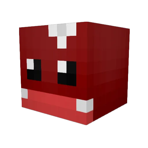 xxWohoxx Minecraft avatar head, 3D render