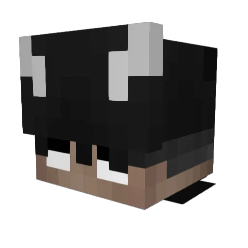 xxZiLLoW Minecraft avatar head, 3D render