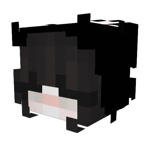 xx_Lucas_ Minecraft avatar head, 3D render
