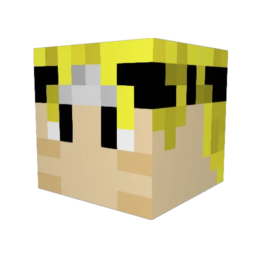 xx_blockmaster Minecraft avatar head, 3D render