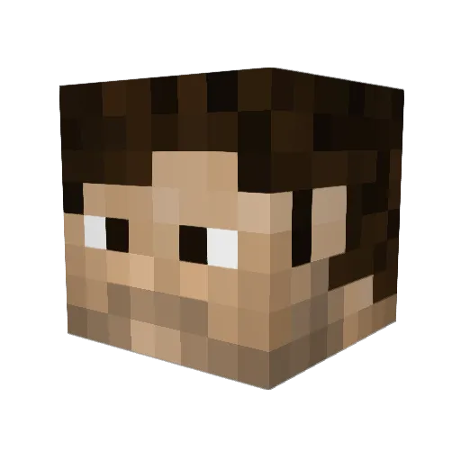 xx_substate_X471 Minecraft avatar head, 3D render