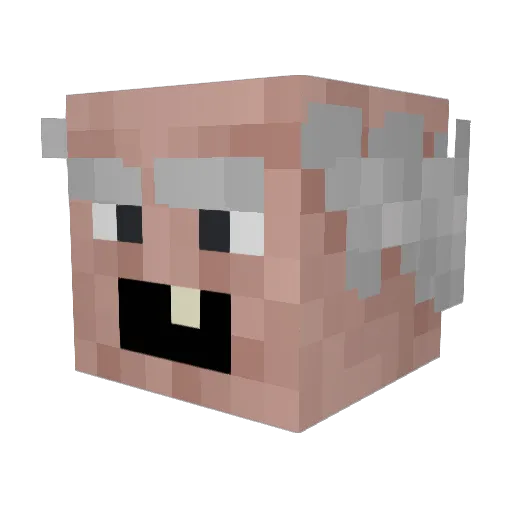 xxakan Minecraft avatar head, 3D render