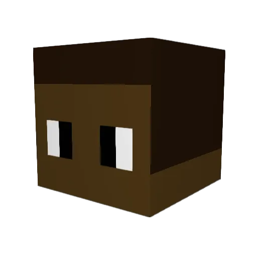 xxau Minecraft avatar head, 3D render