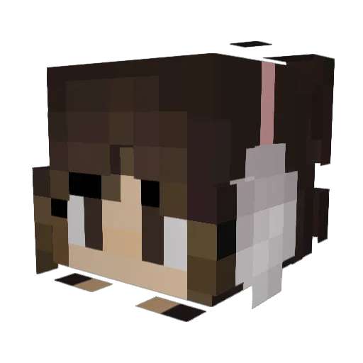 xxbeeboxx Minecraft avatar head, 3D render