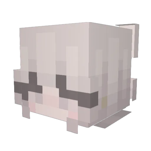 xxchloexx0 Minecraft avatar head, 3D render