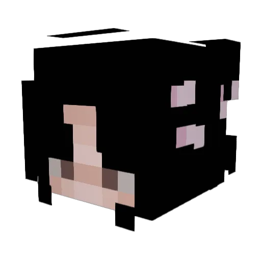 xxdalaxx Minecraft avatar head, 3D render