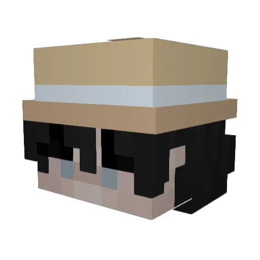 xxee Minecraft avatar head, 3D render