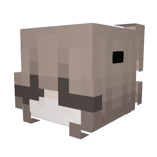 xxfatchudpvp Minecraft avatar head, 3D render